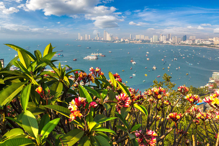 芭堤雅海湾全景鸟瞰, 泰国在夏季的一天