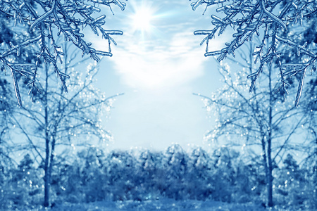 冬季背景与前景中的冰棱图片