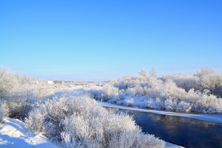 雪树上海岸河