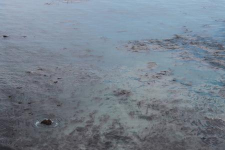 美丽的波浪在加利福尼亚的蒙特雷海岸坠毁