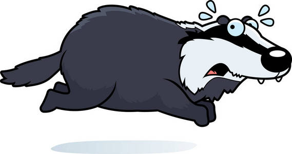 一只獾逃跑的卡通插图