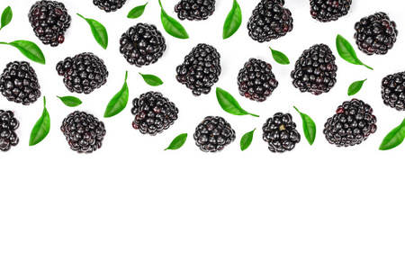新鲜黑莓在白色背景下与复制空间为您的文本隔离。顶部视图。平躺模式