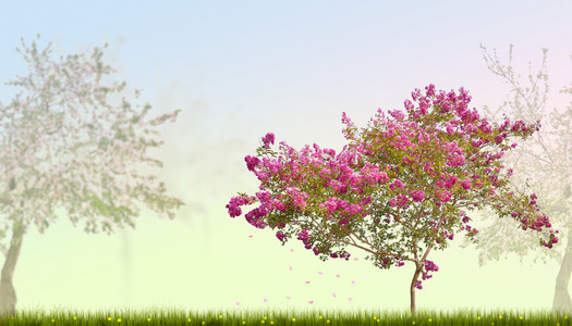 在绿草的粉红色的花树