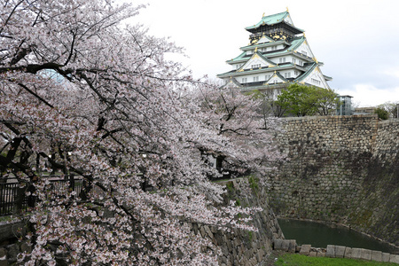 大阪城堡与日本大阪樱花盛开