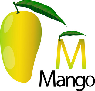 芒果的插画家 m 字体照片