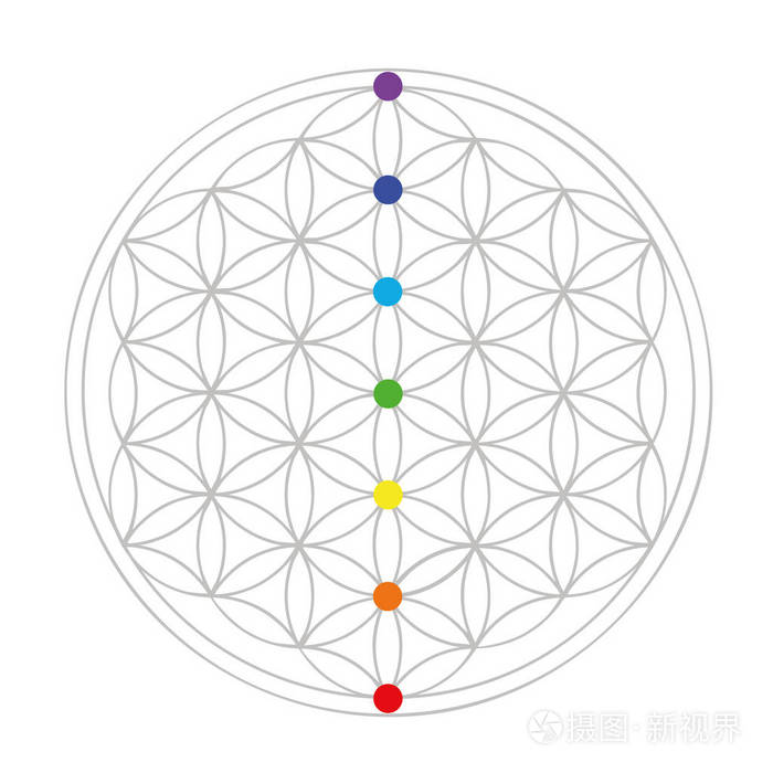 多彩的生命之花几何