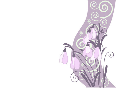 雪花莲紫
