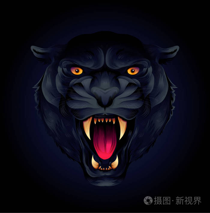 老虎头或黑豹的画像在一个黑色背景