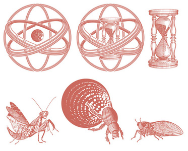 时间无穷元素与沙漏和昆虫, 载体, 例证神圣沙漏-线性设计样式被隔绝