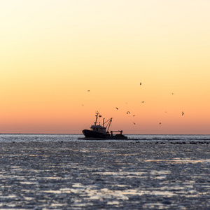 冰冻的大海和小船在夕阳中飞翔的鸟类