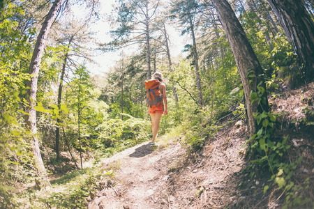 那个女孩正在森林里散步。一个带着背包的年轻女人在风景如画的地方旅行。一个游客沿着一条山路走。鱼眼镜片