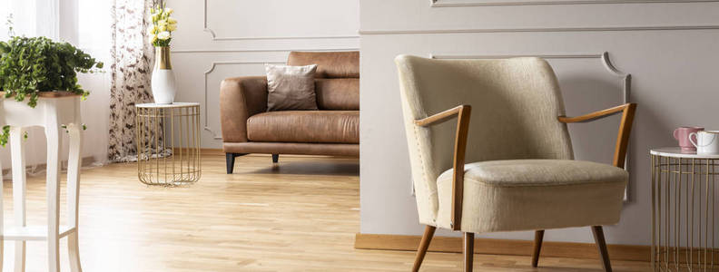 典雅起居室配有棕色真皮沙发的复古扶手椅全景, 真实照片