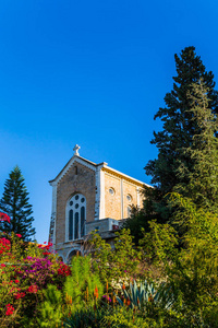 以色列。修道院 Trappists 修道院顺序在拉特伦。温暖阳光明媚的12月日落。宗教与民族志旅游的概念