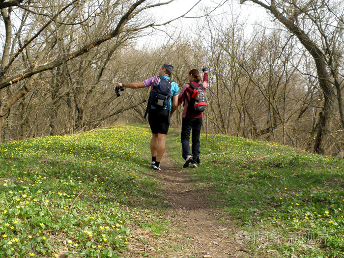 在森林里徒步旅行的吸引情侣