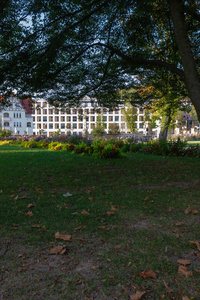 建筑背后的城市公园树木在秋天阳光明媚的下午在德国