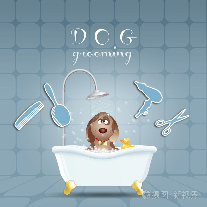 在梳理浴的狗