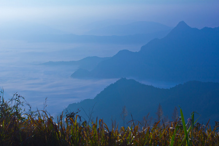 多雾的早晨，在高山上