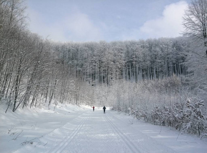 在斯洛伐克西部的越野滑雪路线