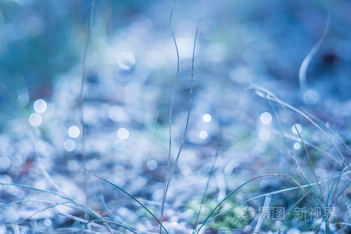 艺术照片, 简约主义.蓝色的魔霜照片.屏幕保护程序, 背景
