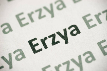 在白皮书宏上打印的 word Erzya 语言