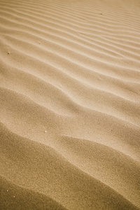 砂纹理背景