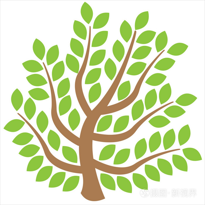 孤立在白色背景上的树