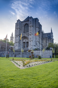 在比利时蒙斯的圣 waltrude 教堂