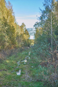 俄罗斯的乡村公路