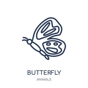 蝴蝶图标。蝴蝶线性符号设计从动物收藏。简单的大纲元素向量例证在白色背景