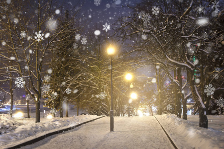 晚上的冬季公园在降雪。圣诞节的时候。夜园里的雪花和灯笼