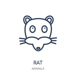 老鼠图标。老鼠线性符号设计从动物收藏。简单的大纲元素向量例证在白色背景