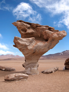 石树，arbol de piedra，在玻利维亚