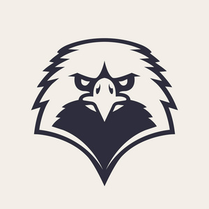 鹰的正面对称图像看起来很危险.矢量单色图标照片