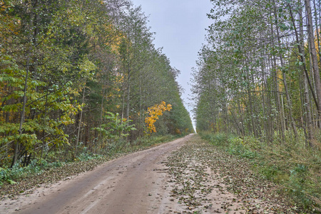 俄罗斯的乡村公路