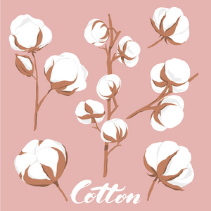 棉花符号图片-棉花符号素材-棉花符号插画-摄图新视界