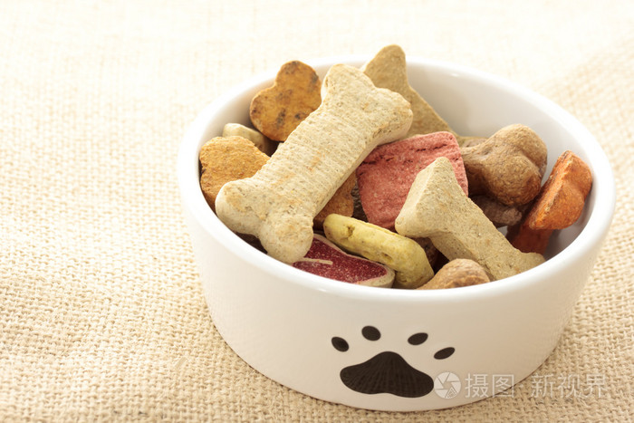 狗食碗里