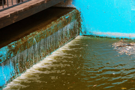 水里的垃圾.海洋环境的生态污染照片