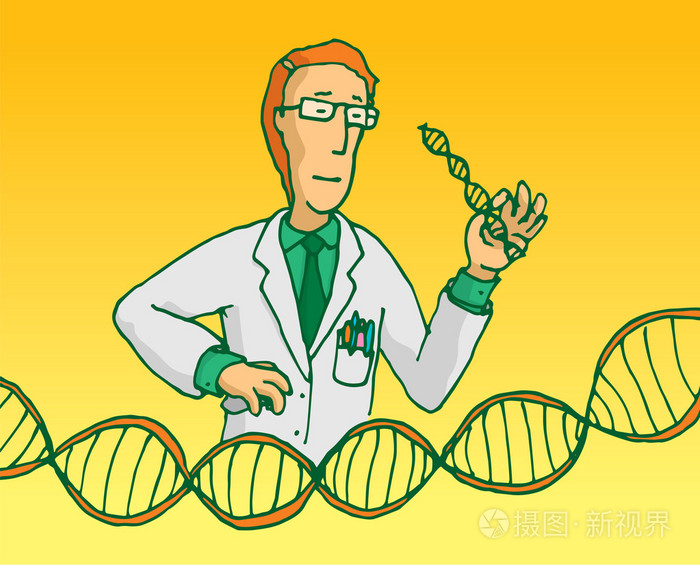 科学家研究基因或 dna 序列