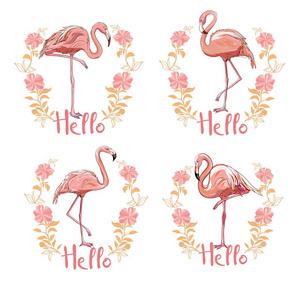 粉红色火烈鸟, 矢量, 插图鸟设计打印热带
