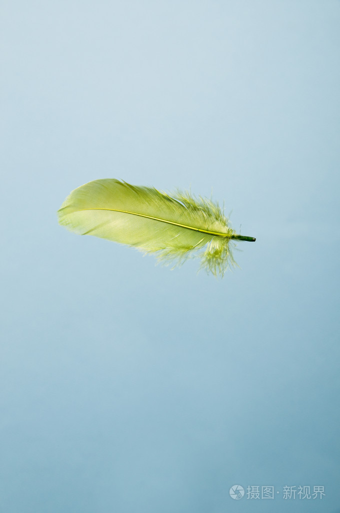 在蓝色的天空中的绿色羽毛