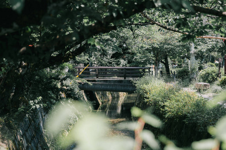 日本园林与湖和桥梁电影复古风格