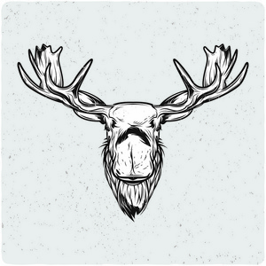 黑白插图.光背景与垃圾噪声和框架隔离照片