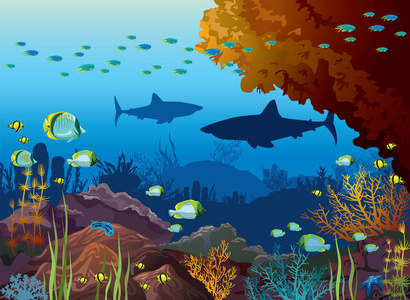 水下自然和海洋野生动物。鲨鱼的剪影, 热带鱼类和珊瑚礁学校在蓝色海背景。向量海洋例证