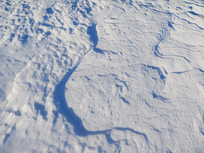 雪。背景