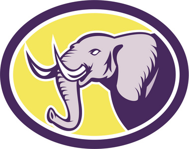 头侧大象头侧椭圆形照片