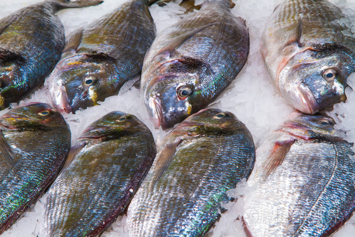 冰在鱼市场上银金头鲷头