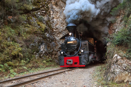 欧洲, 罗马尼亚, 维塞乌。喀尔巴阡山脉森林蒸汽火车。花瓶山谷铁路。燃木, 蒸汽机车。窄轨铁路。启动1932