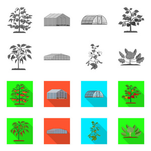 温室和植物符号的孤立对象。网站的温室和花园股票符号收集