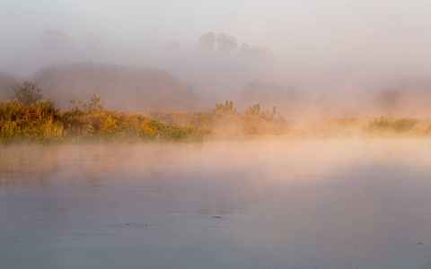 清晨的薄雾, 在河上, 一个温柔的触摸的一天