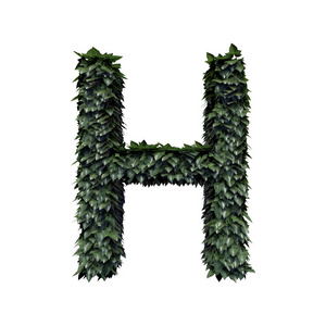 叶子字母 H, 3d 渲染